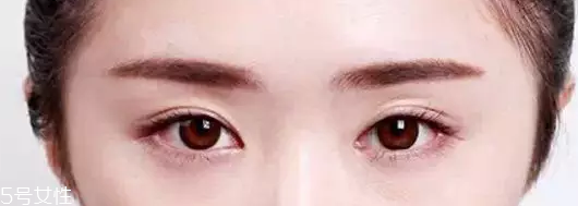 眉粉怎么選顏色好看？淺咖色不挑膚色
