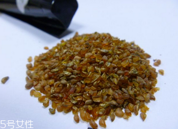 黑苦蕎茶苦嗎？苦蕎有苦卻不苦