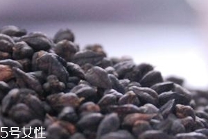 黑苦蕎茶上火嗎？蒸煮法苦蕎茶不上火