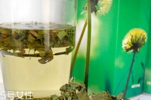 蒲公英茶哪些人不宜喝？這三種人要避開(kāi)