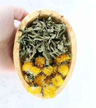 蒲公英茶哪些人不宜喝？這三種人要避開(kāi)