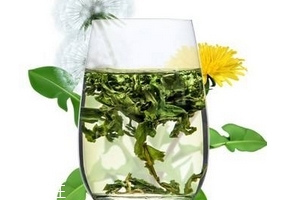 蒲公英茶哪個(gè)牌子好？大牌子值得信賴(lài)