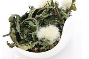蒲公英茶怎么做？蒲公英茶做法超簡(jiǎn)單