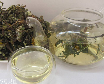 蒲公英茶怎么做？蒲公英茶做法超簡單