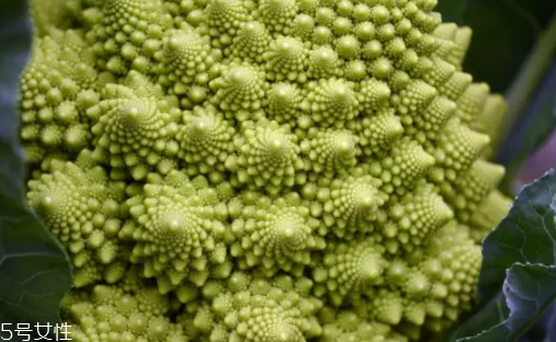 花菜在冰箱能放幾天？不要超過7天