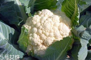 花菜怎么洗才干凈？一定要把蟲(chóng)子洗掉