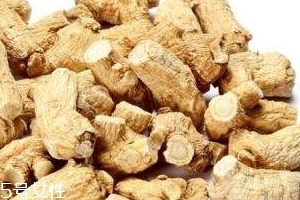 西洋參是哪里產(chǎn)的？長白山為主要產(chǎn)地