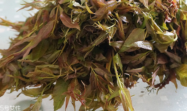 香椿水餃怎么做好吃？超詳細香椿豆腐餃子做法