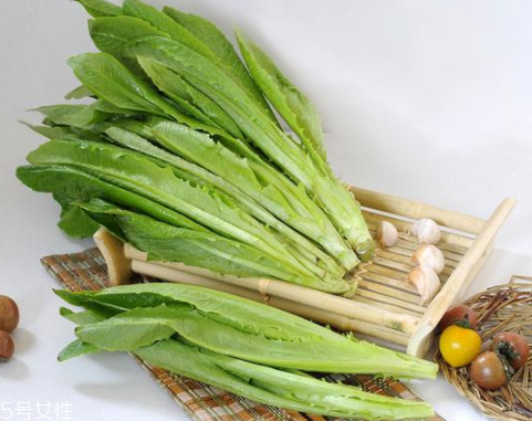 油麥菜怎么涼拌好吃？加點麻醬調(diào)味