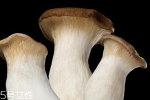 杏鮑菇怎么洗才干凈？鹽水泡泡輕松去污