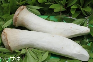 杏鮑菇熟了是什么樣？變軟了就能吃