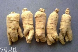 西洋參會(huì)回奶嗎？不用擔(dān)心這個(gè)問(wèn)題