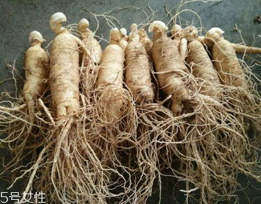 西洋參會推遲月經(jīng)嗎？這個是有可能的