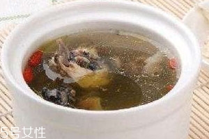 豬肚湯可以放當(dāng)歸嗎