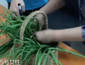 韭菜怎么保存時(shí)間長(zhǎng)？真空保存最持久