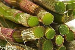 新鮮石斛多少錢(qián)一斤 最新價(jià)格行情