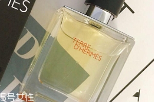 愛馬仕大地香水好聞嗎？香味濃烈卻清新