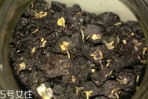 黑枸杞還還是紅枸杞好？各有千秋