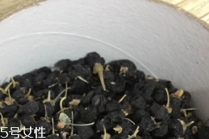 黑枸杞能和紅枸杞一起泡嗎？