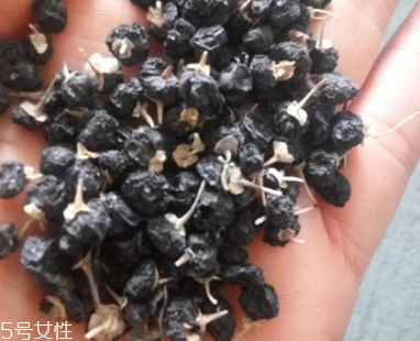 黑枸杞去濕氣嗎？沒有這個(gè)功效