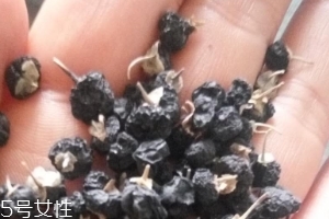 黑枸杞為什么是藍(lán)色？花青素的原因