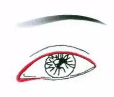 先畫眼影還是先畫眼線？先畫眼影不會(huì)讓眼線暈掉