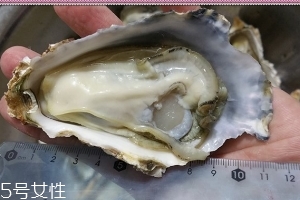 生蠔會(huì)有寄生蟲(chóng)嗎？不生吃就沒(méi)關(guān)系
