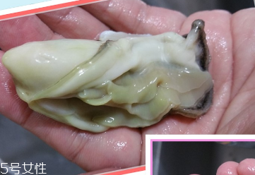 生蠔會(huì)有寄生蟲(chóng)嗎？不生吃就沒(méi)關(guān)系