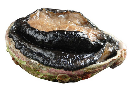 鮑魚罐頭怎么吃？這樣吃最好
