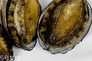 鮑魚罐頭好吃嗎？味道還可以
