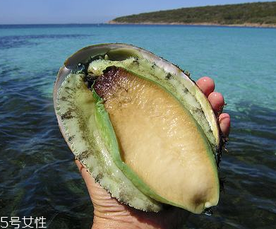鮑魚罐頭好吃嗎？味道還可以