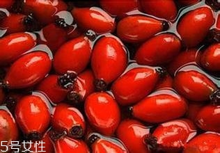 痘痘能用玫瑰果油嗎？愈合之后少量用