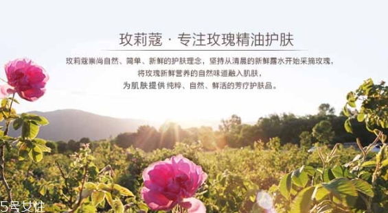 玫莉蔻護(hù)膚品怎么樣？主打玫瑰的護(hù)膚品牌