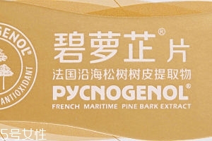 碧蘿芷到底好不好？帶你了解碧蘿芷