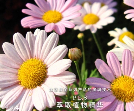 歐萃碧護膚品怎么樣？法國藥妝品牌