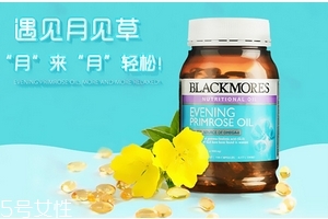 月見草油是激素嗎？不含激素成分