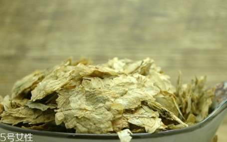 啤酒花是什么？啤酒花功效與作用