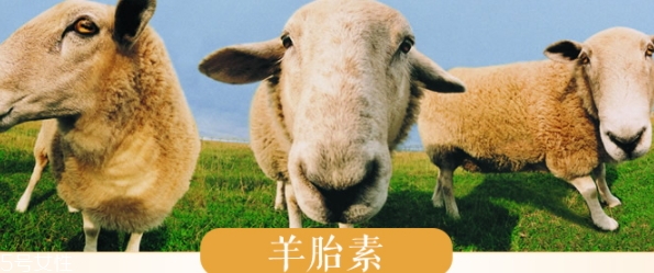 羊胎素和玻尿酸哪個好？
