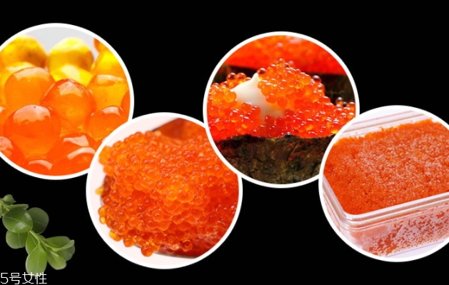 飛魚籽是什么魚的籽？壽司美味的秘訣