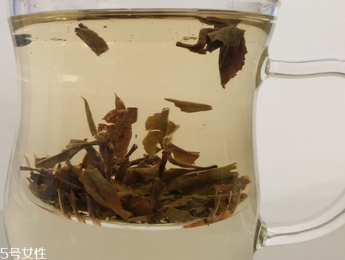 白牡丹茶多少錢(qián)一斤？180元左右