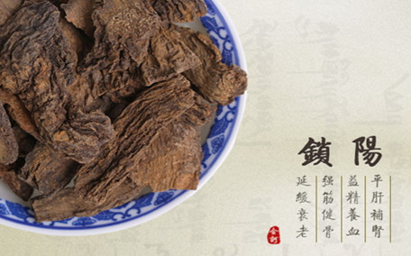 鎖陽(yáng)