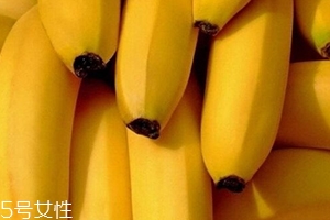 仙人蕉多少錢一斤？
