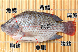 吃魚時(shí)魚刺怎么去除