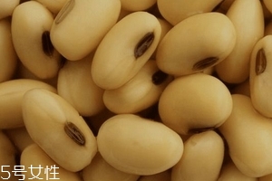 卵磷脂通乳嗎？這個還不一定