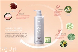 pola馥美修護洗發(fā)水價格 細軟油性發(fā)質的最愛