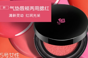2018氣墊腮紅哪個牌子好？
