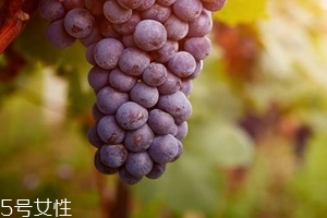 葡萄籽會(huì)影響月經(jīng)嗎？吃法正確就不會(huì)