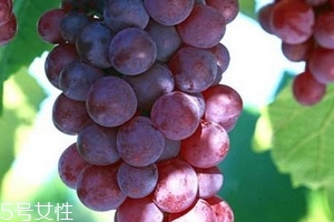 葡萄籽會(huì)推遲月經(jīng)嗎？一般不會(huì)