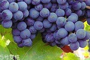 葡萄籽會長痘嗎？沒有這個(gè)情況