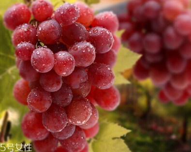 葡萄籽會長痘嗎？沒有這個(gè)情況